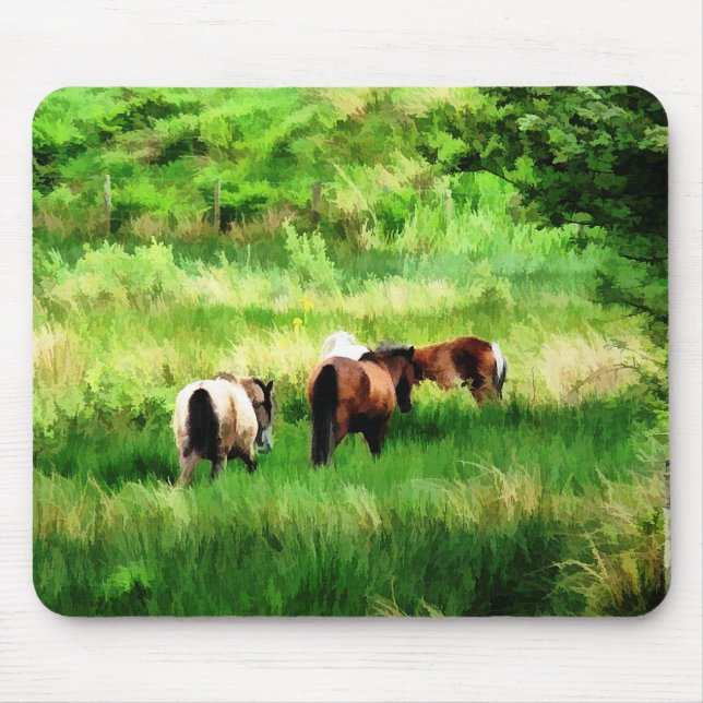 HORSES MUSMATTA (Framsidan)