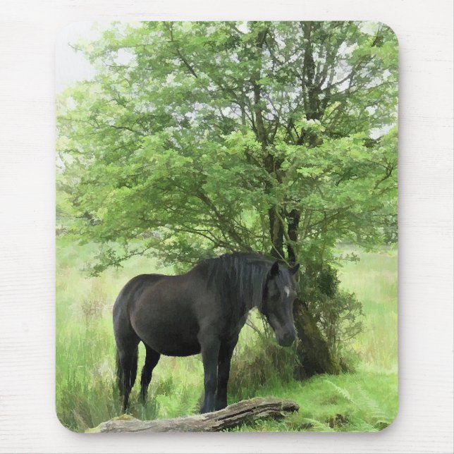 HORSES MUSMATTA (Framsidan)