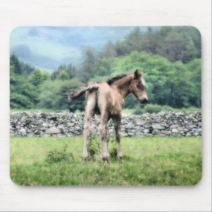 HORSES MUSMATTA