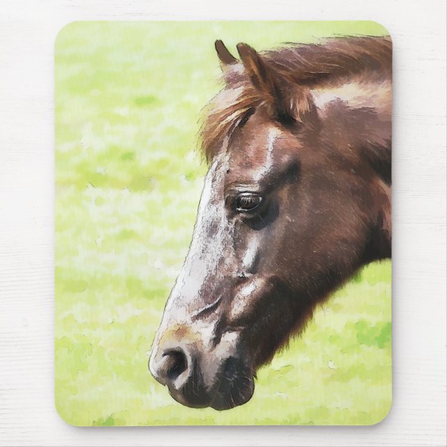 HORSES MUSMATTA (Framsidan)