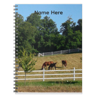 Horses Notebook Anteckningsbok