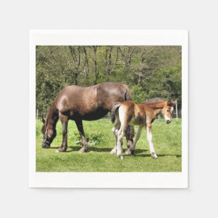 HORSES PAPPERSSERVETT