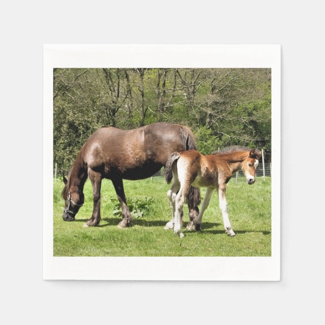 HORSES PAPPERSSERVETT (Framsidan)