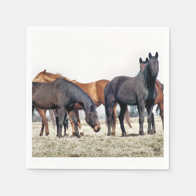 HORSES PAPPERSSERVETT (Framsidan)