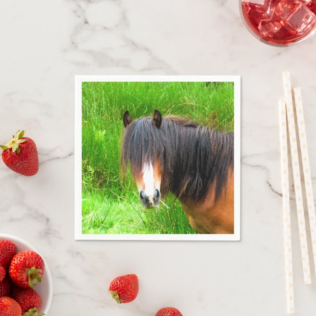 HORSES PAPPERSSERVETT (Insitu)