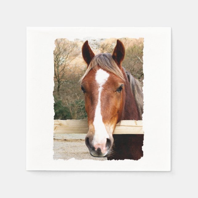 HORSES PAPPERSSERVETT (Framsidan)