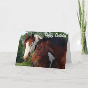 Horses Photograph Grattis på födelsedagen Kort