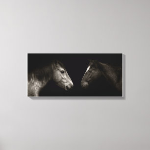 Horses porträtt canvastryck