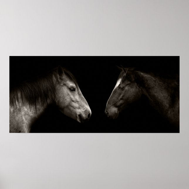 Horses porträtt poster (Framsidan)