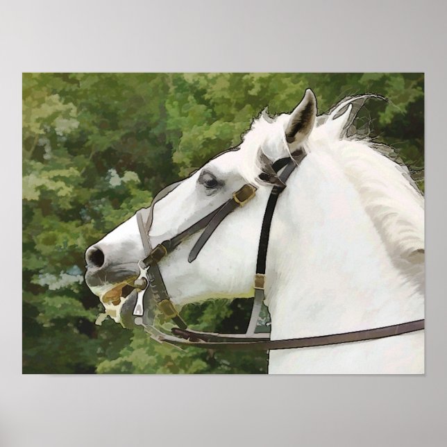 HORSES POSTER (Framsidan)