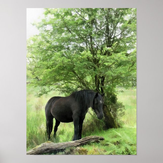 HORSES POSTER (Framsidan)