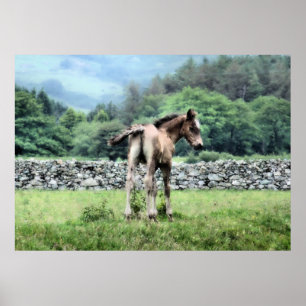HORSES POSTER