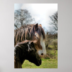 HORSES POSTER