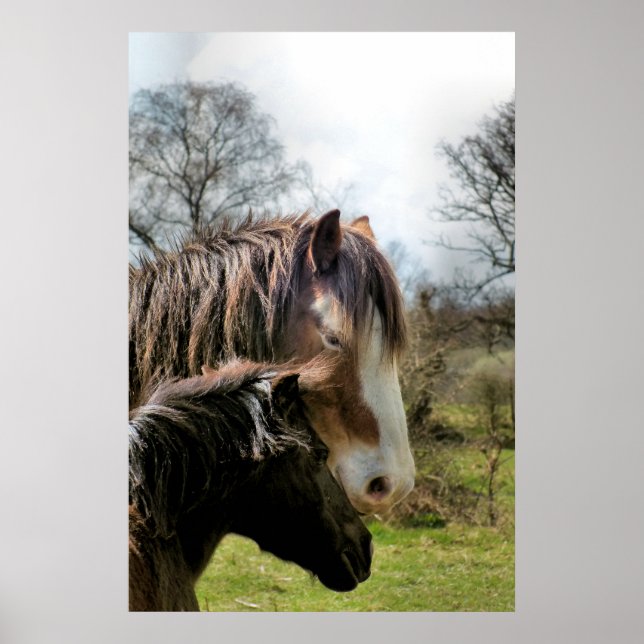 HORSES POSTER (Framsidan)