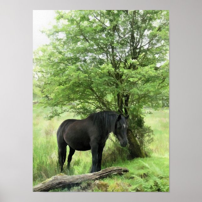 HORSES POSTER (Framsidan)