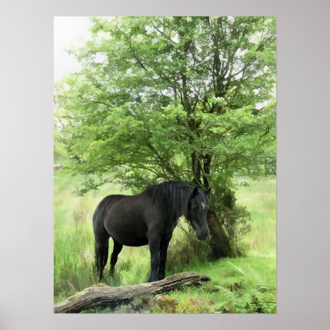 HORSES POSTER (Framsidan)