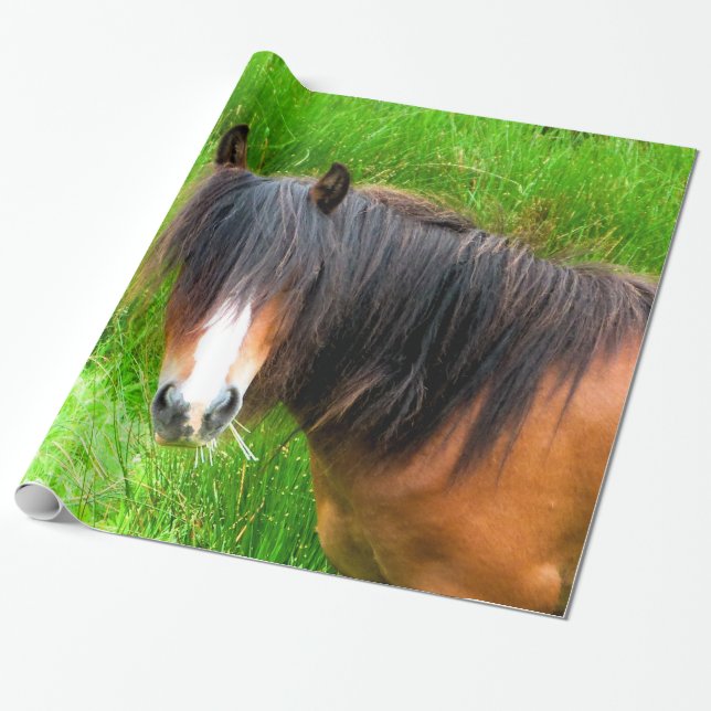HORSES PRESENTPAPPER (Utrullad)