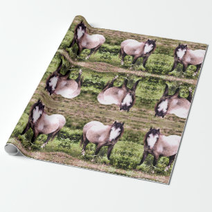HORSES PRESENTPAPPER