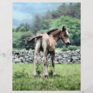 HORSES REKLAMBLAD