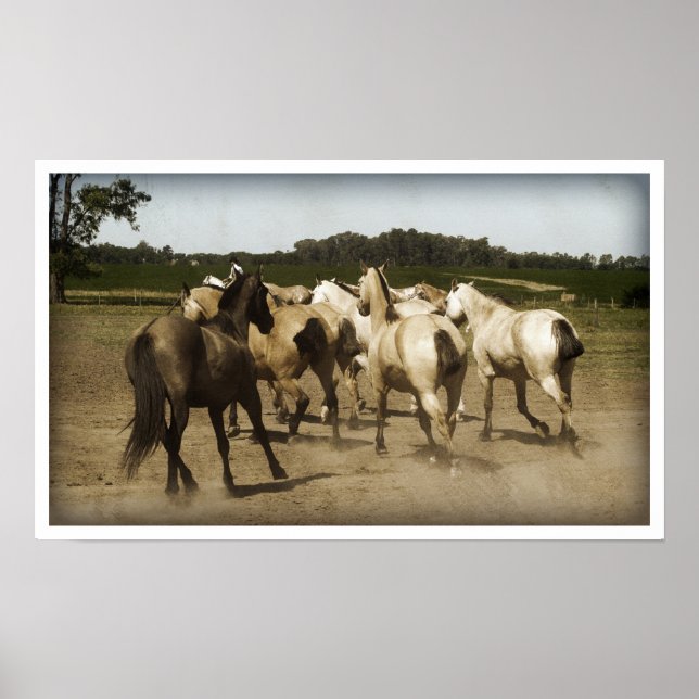 Horses Running Poster (Framsidan)