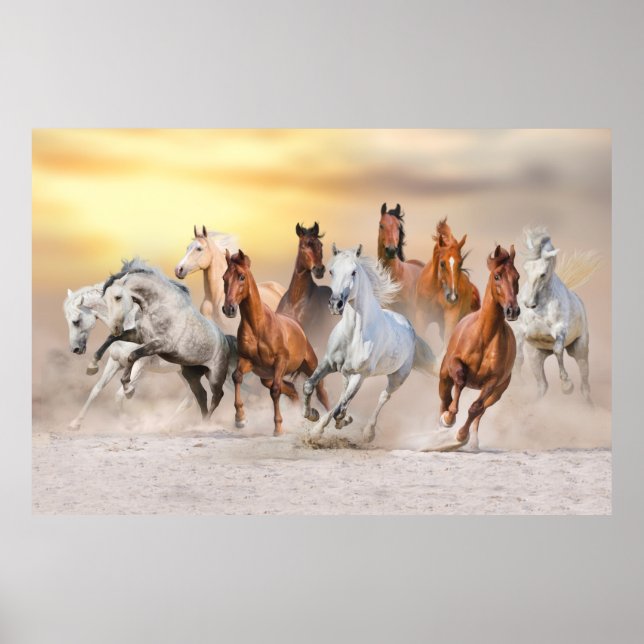 Horses Running Poster (Framsidan)