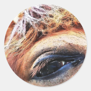 HORSES RUNT KLISTERMÄRKE