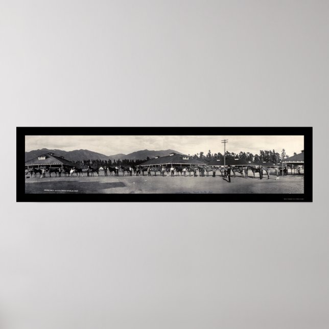 Horses Santa Anita Photo 1908 Poster (Framsidan)