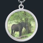 HORSES SILVERPLÄTERAT HALSBAND<br><div class="desc">En vacker svart stam som vilar i en träd skugga.</div>
