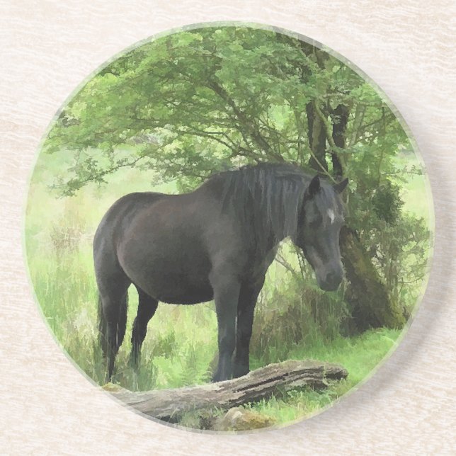 HORSES UNDERLÄGG (Framsidan)