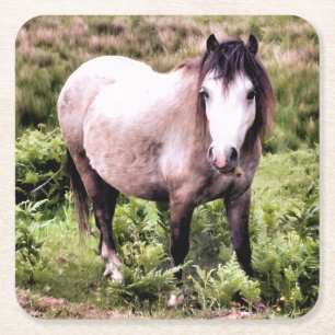 HORSES UNDERLÄGG PAPPER KVADRAT