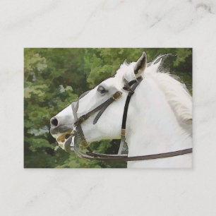 HORSES VISITKORT
