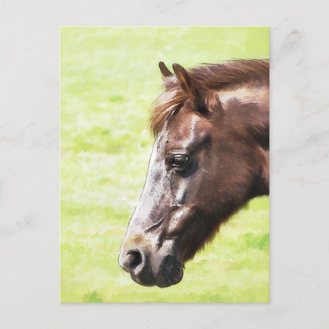 HORSES VYKORT (Framsida)