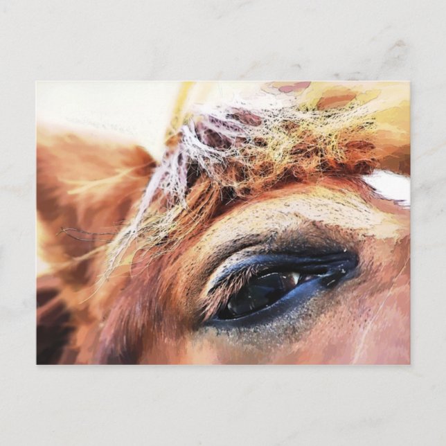 HORSES VYKORT (Framsida)