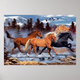 Horses Whisperer Poster
