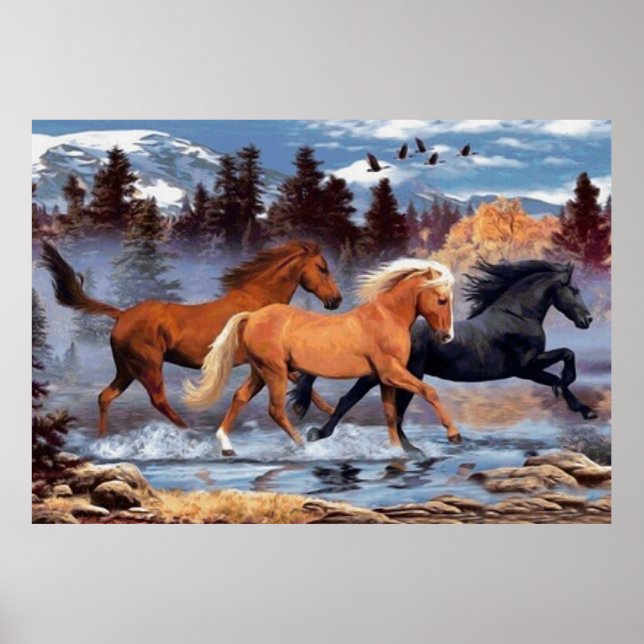Horses Whisperer Poster (Framsidan)