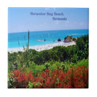 Horseshoe, Bay Beach, Bermuda