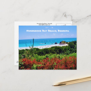 Horseshoe Bay Beach, Bermuda Postcard Vykort