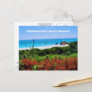Horseshoe Bay Beach, Bermuda Postcard Vykort