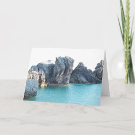 Horseshoe Beach Bermuda Kort