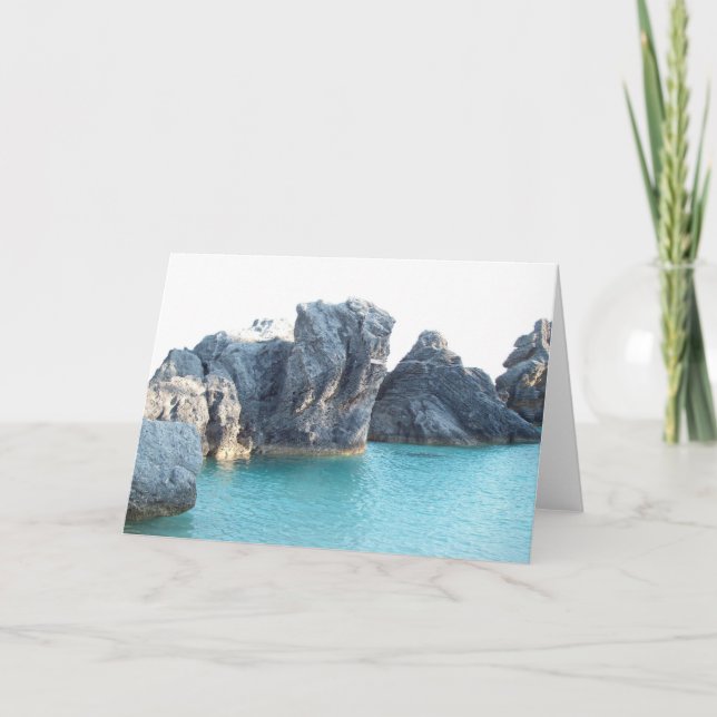 Horseshoe Beach Bermuda Kort (Framsida)