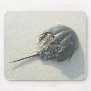 Horseshoe Crab Mousepad Musmatta