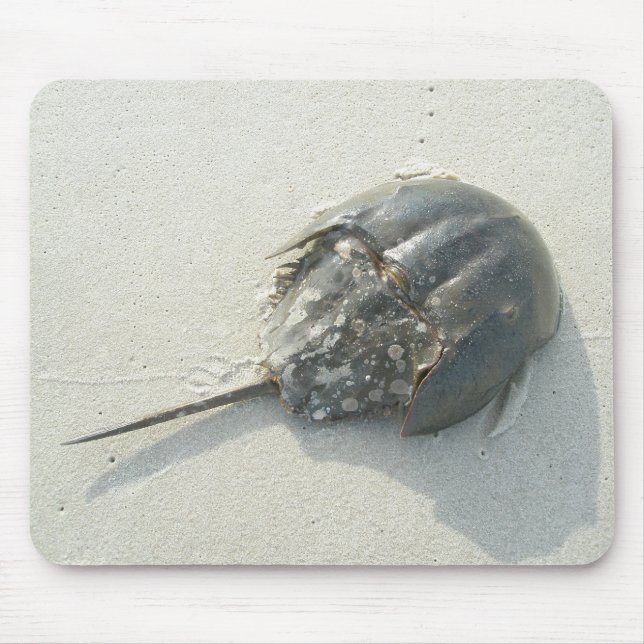 Horseshoe Crab Mousepad Musmatta (Framsidan)