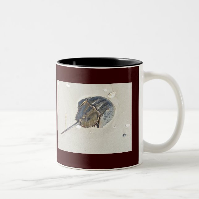 Horseshoe Crab Mugg (Höger)