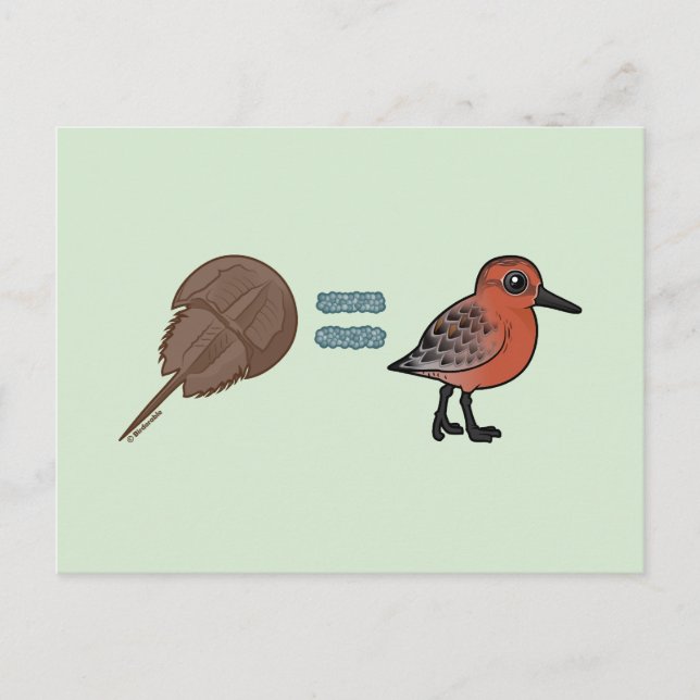 Horseshoe Crabs är Life Vykort (Framsida)