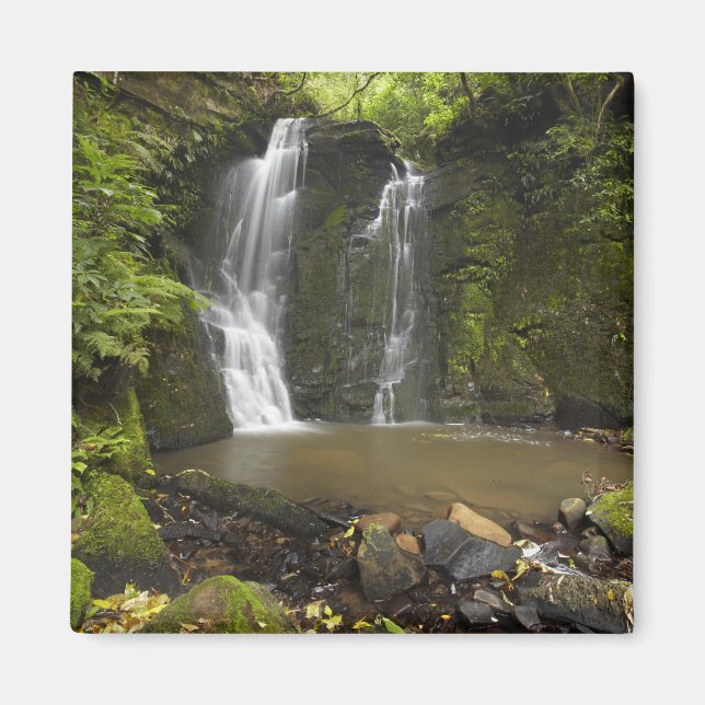 Horseshoe Falls, Matai Falls Magnet (Framsidan)