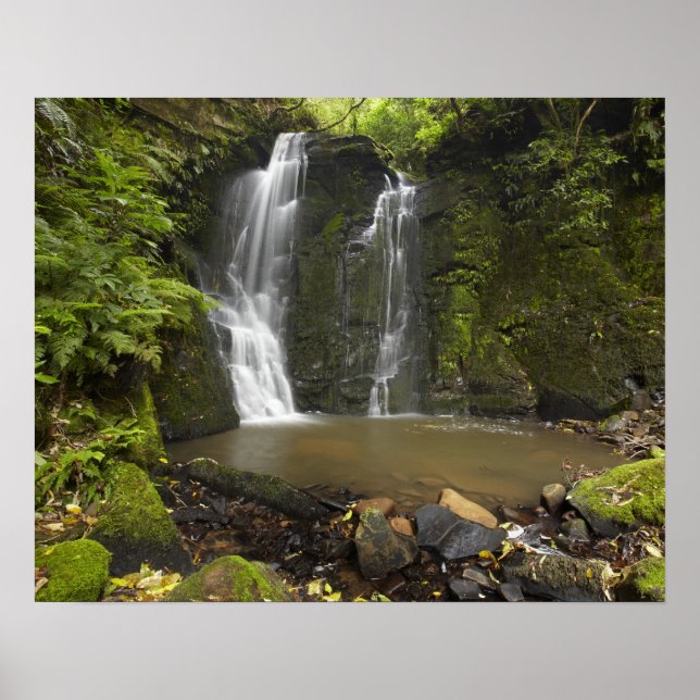 Horseshoe Falls, Matai Falls Poster (Framsidan)