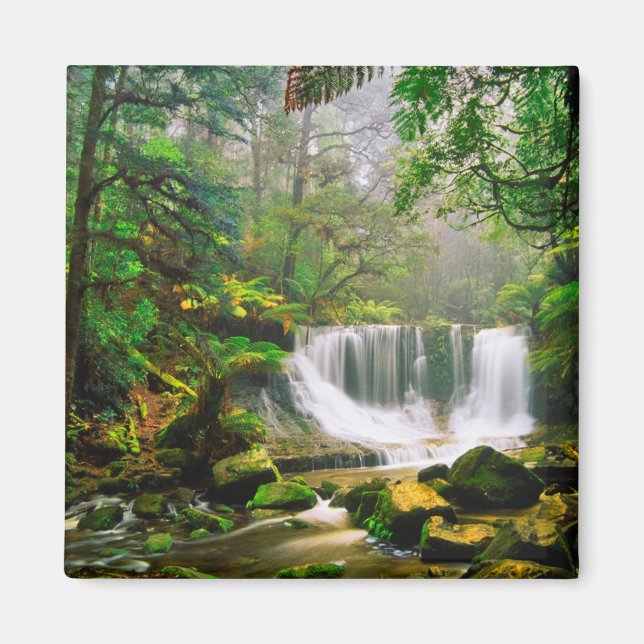 Horseshoe Falls, omringat av regnskog Magnet (Framsidan)