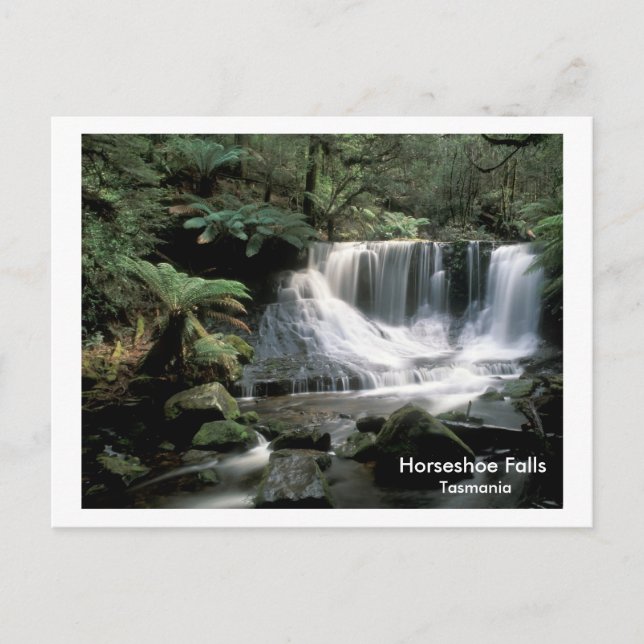 HorseShoe Falls Tasmania Vykort (Framsida)