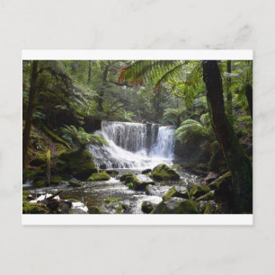 HORSESHOE GALLS MT FÄLT NATIONAL FALLS TASMANIA VYKORT