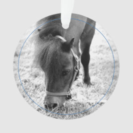 Horseshoes Blue Horse NAMN Pet Photo Keepsak
